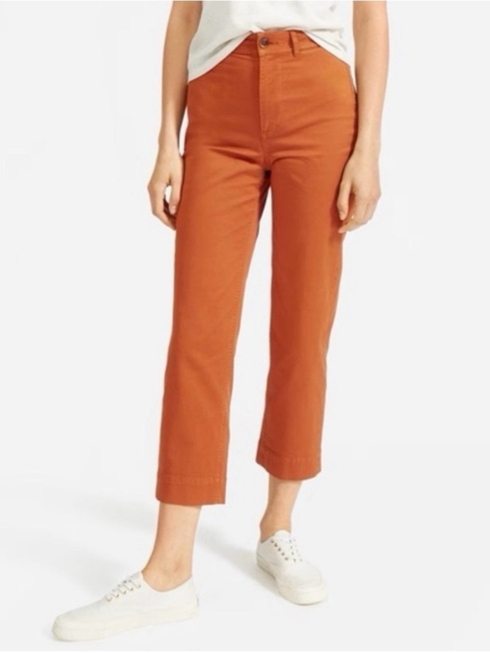 Everlane Straight Leg Crop Pants Short in Rust Size 0